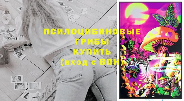 шишки Арсеньев