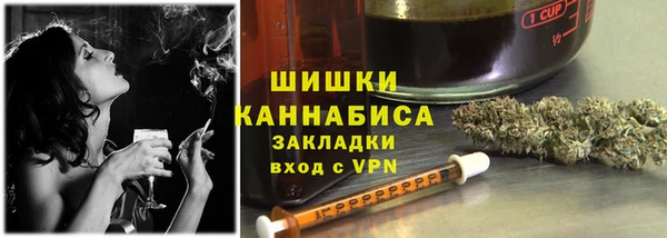 ГАЛЛЮЦИНОГЕННЫЕ ГРИБЫ Аркадак
