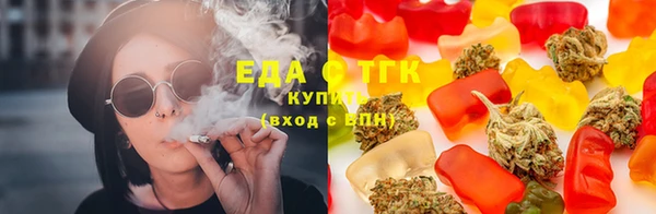 шишки Арсеньев