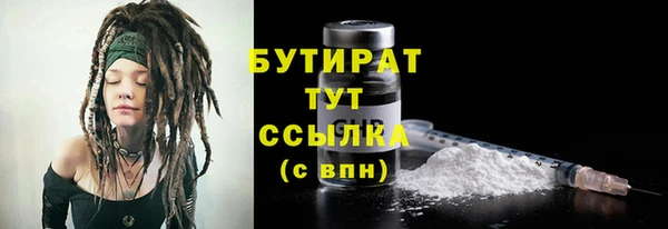 шишки Арсеньев