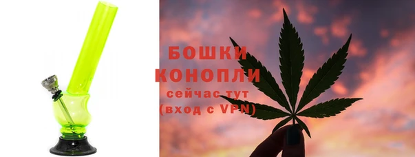 шишки Арсеньев