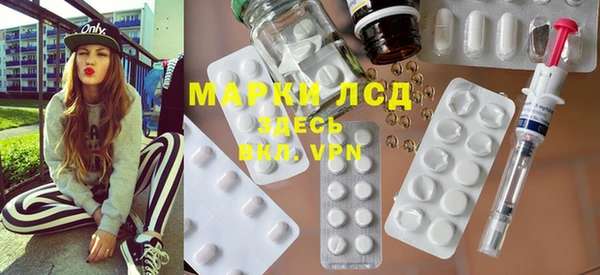ГАЛЛЮЦИНОГЕННЫЕ ГРИБЫ Аркадак