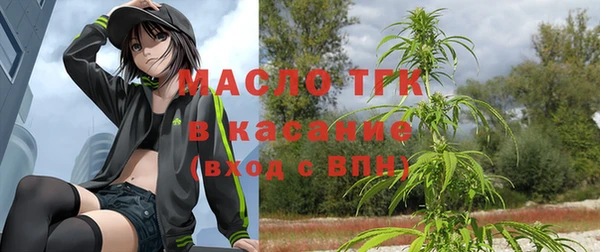 шишки Арсеньев