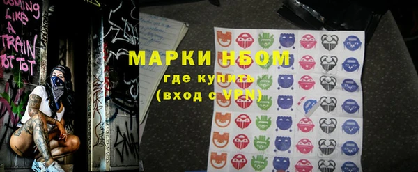 ГАЛЛЮЦИНОГЕННЫЕ ГРИБЫ Аркадак