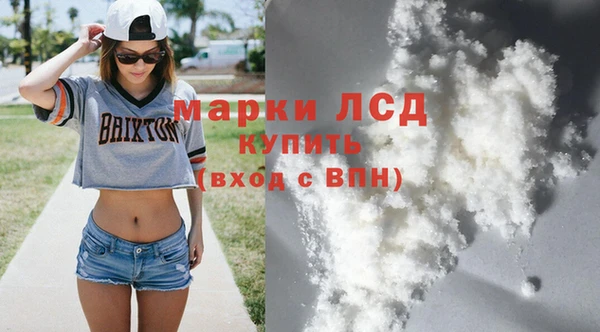 ГАЛЛЮЦИНОГЕННЫЕ ГРИБЫ Аркадак