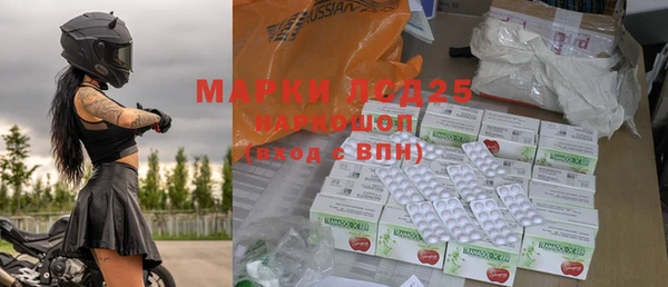 шишки Арсеньев