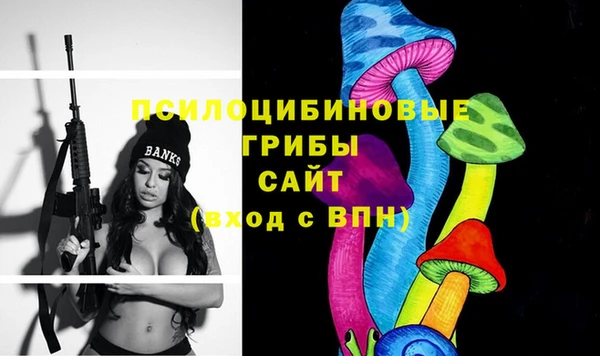 ГАЛЛЮЦИНОГЕННЫЕ ГРИБЫ Аркадак