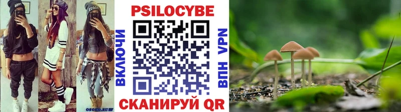 Купить Кузнецк Псилоцибиновые грибы GOLDEN TEACHER
